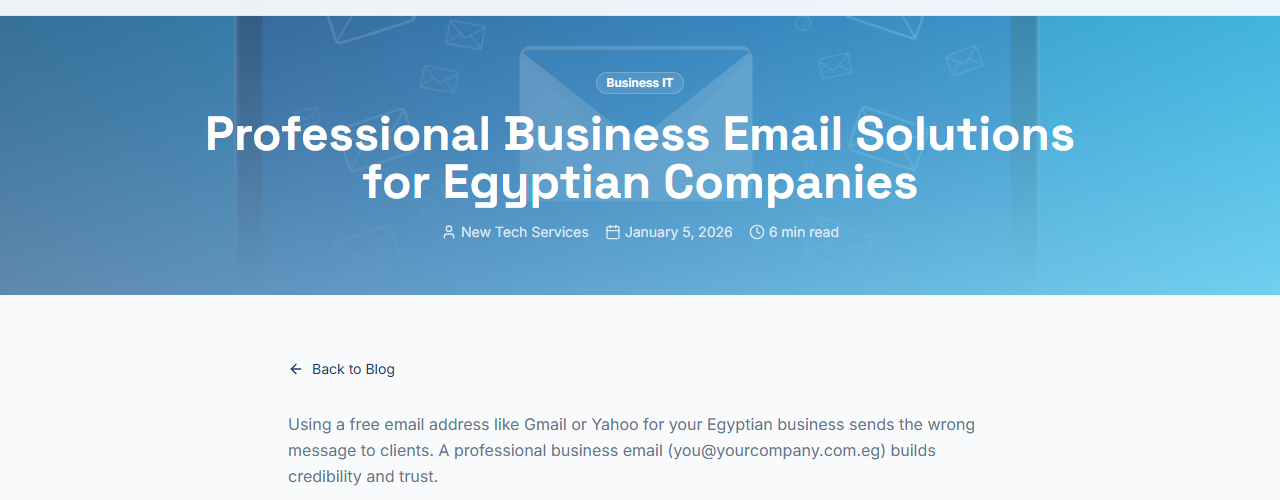 Professional Business Email Solutions