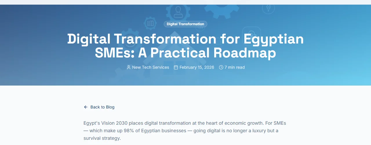 Digital Transformation for Egyptian SMEs