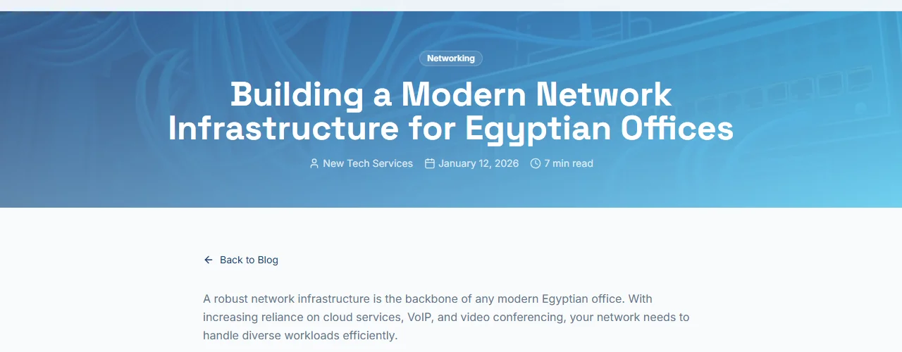 Office Network Setup in Cairo